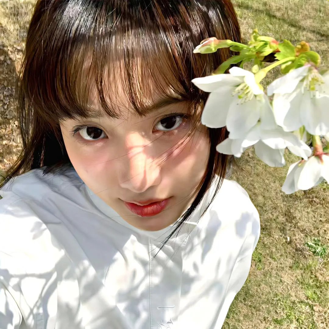 丁香花开的兽道